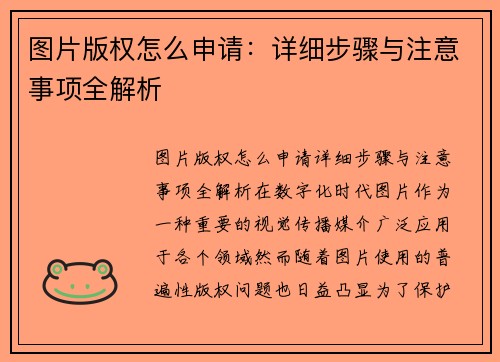 图片版权怎么申请：详细步骤与注意事项全解析